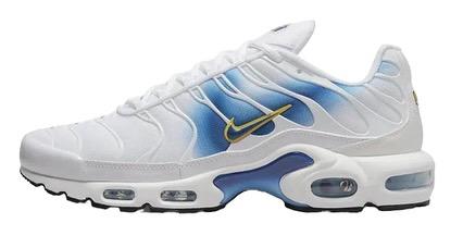 Air Max Plus TN Spray Paint Swoosh White Blue