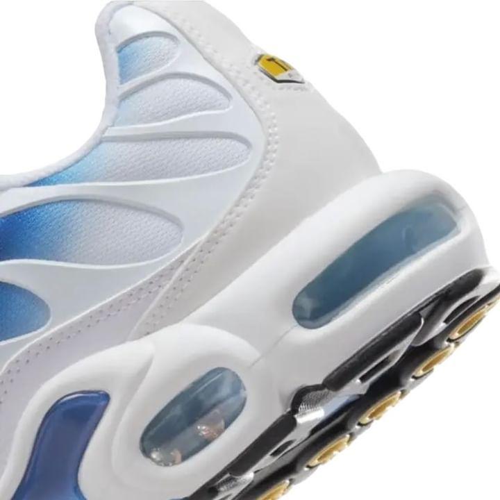 Air Max Plus TN Spray Paint Swoosh White Blue