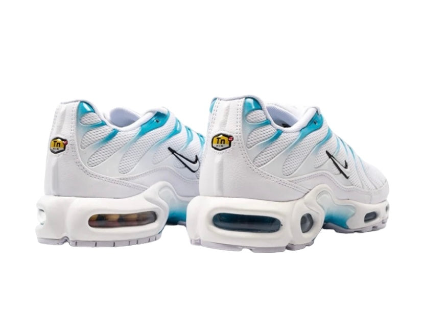 Air Max Plus "BLUE FURY"