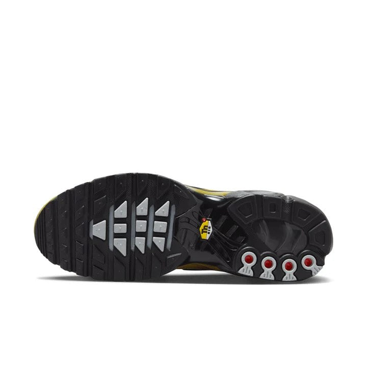 Air Max Plus "Bronzine & Black