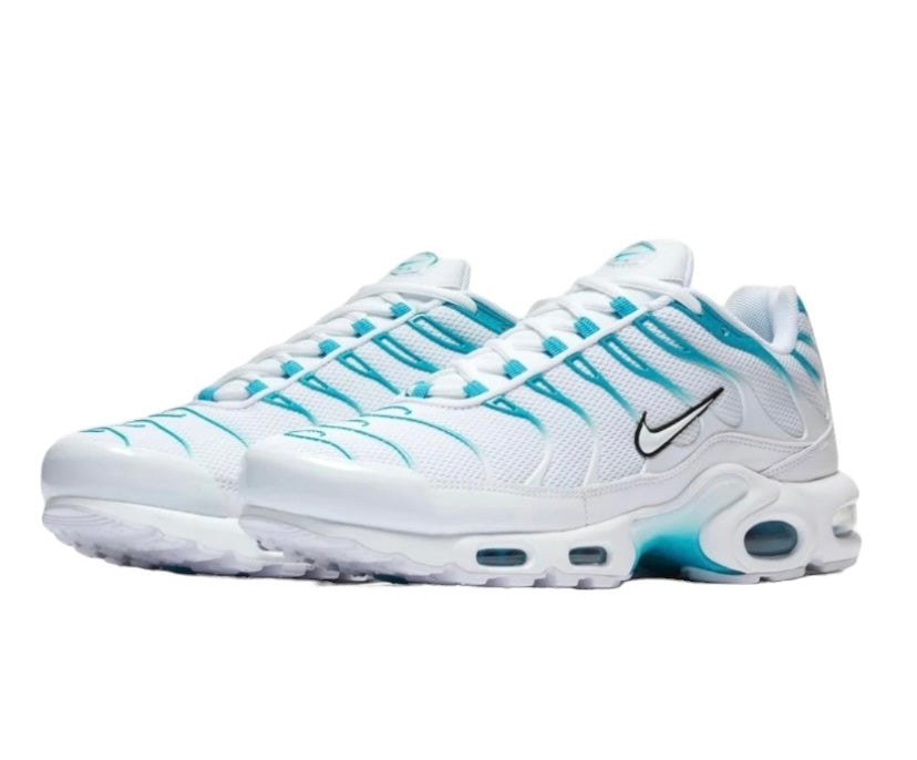 Air Max Plus "BLUE FURY"